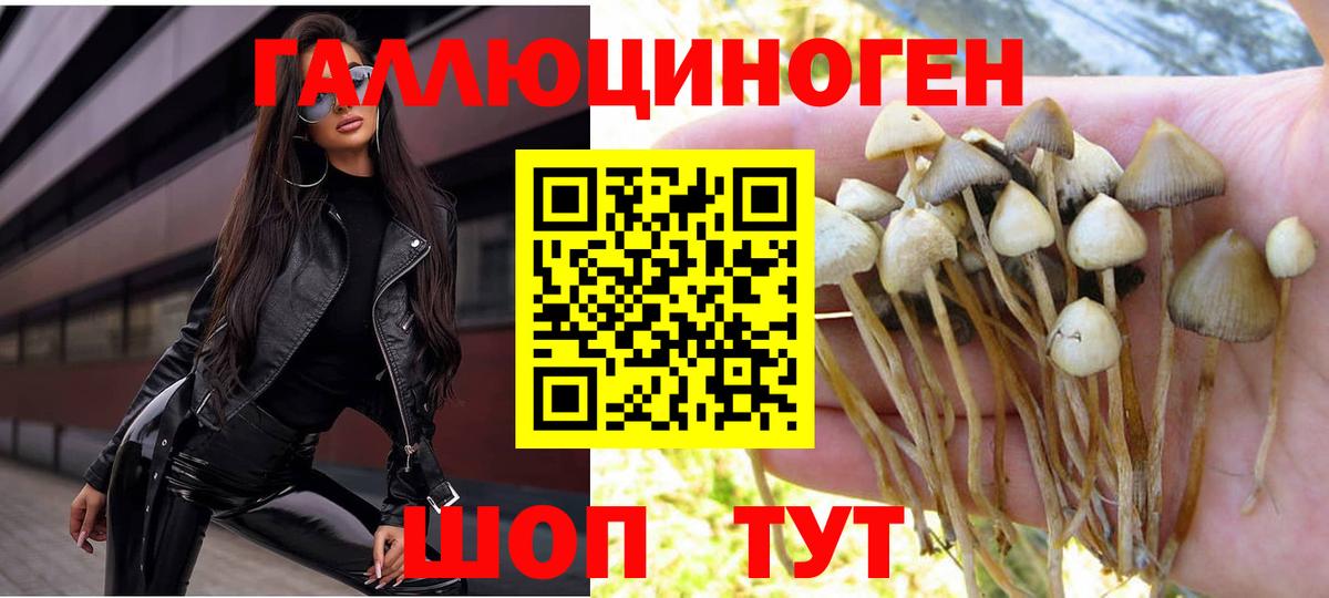 Лосино-Петровский  Галлюциногенные грибы GOLDEN TEACHER  где продают   Вход с VPN 